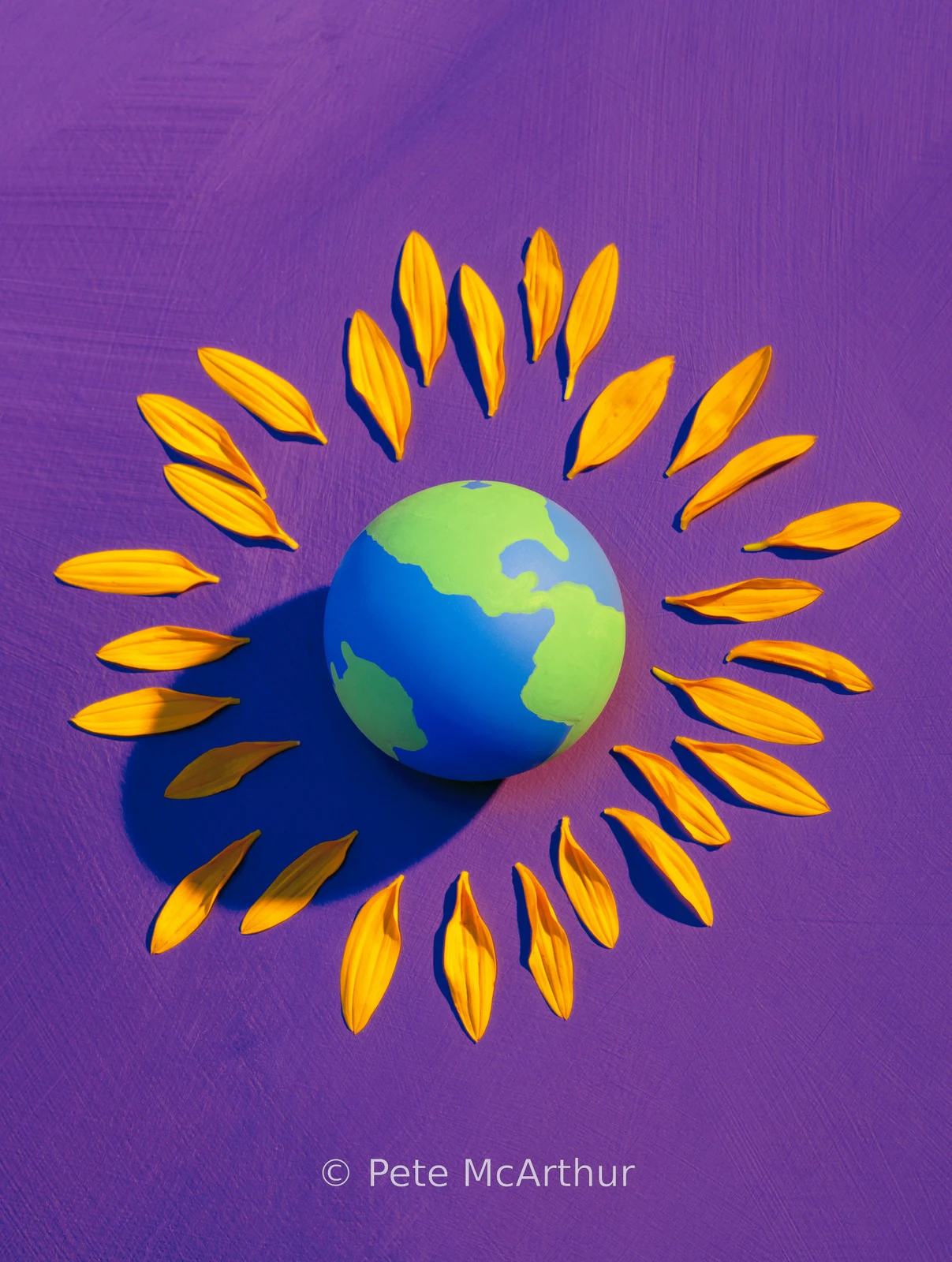 A small globe is encircled by yellow flower petals on purple.